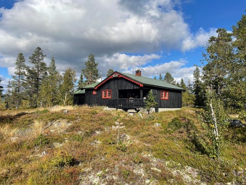 Bilde 1 av annonsen