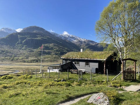 Bilde 1 av annonsen