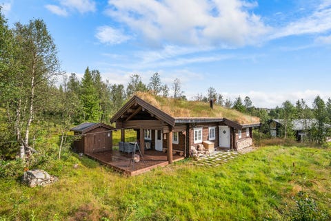 Bilde 1 av annonsen