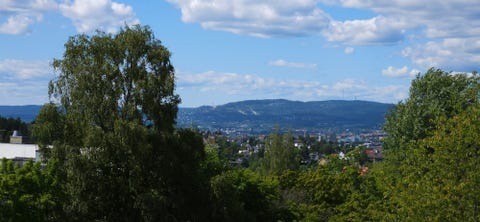 Bilde 2 av annonsen