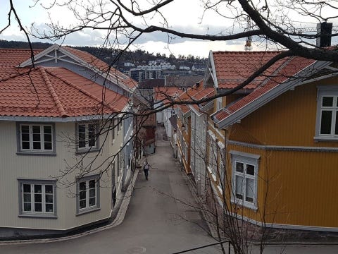 Bilde 1 av annonsen