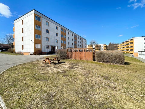 Bilde 1 av annonsen
