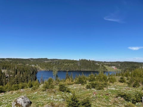 Bilde 1 av annonsen