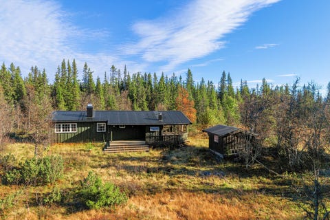 Bilde 1 av annonsen