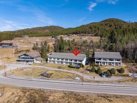 Bilde 1 av annonsen
