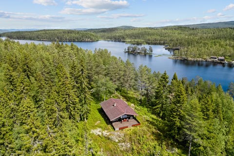 Bilde 1 av annonsen