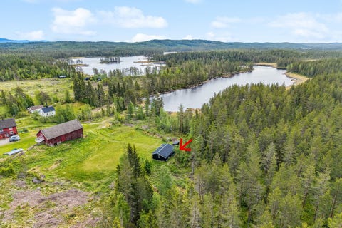 Bilde 1 av annonsen