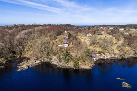 Bilde 1 av annonsen