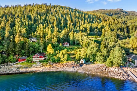 Bilde 1 av annonsen
