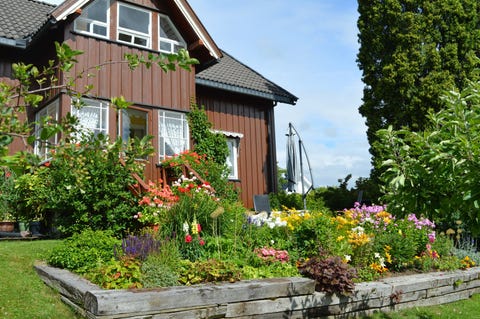 Bilde 2 av annonsen