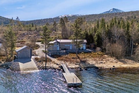 Bilde 1 av annonsen