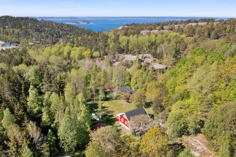 Bilde 1 av annonsen