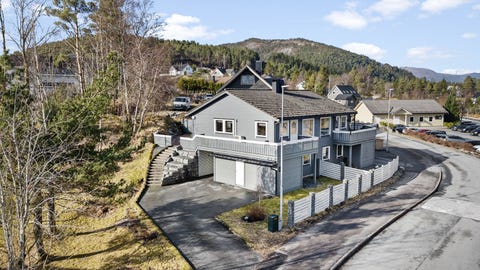Bilde 1 av annonsen