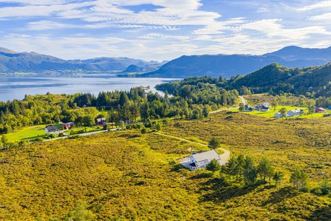 Bilde 2 av annonsen