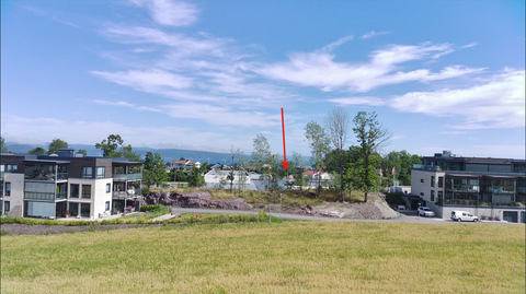 Bilde 1 av annonsen
