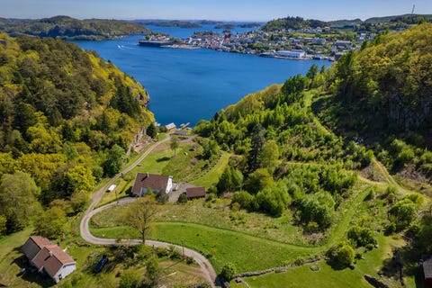 Bilde 1 av annonsen