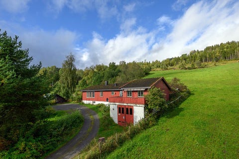 Bilde 1 av annonsen