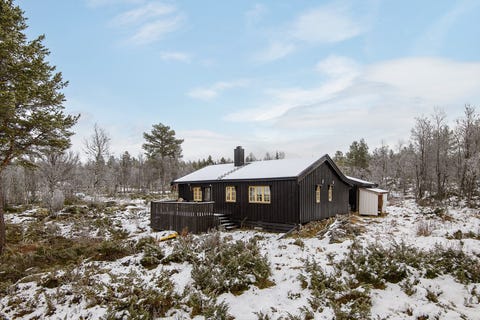 Bilde 1 av annonsen