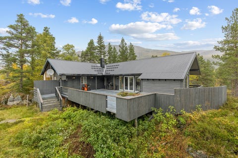 Bilde 1 av annonsen
