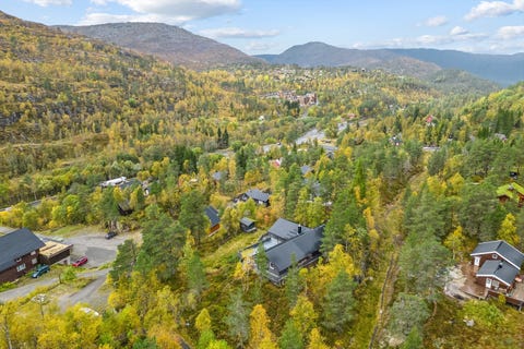 Bilde 2 av annonsen