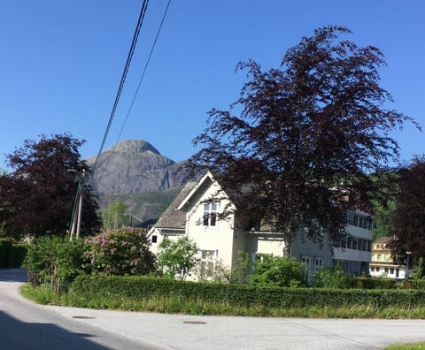 Bilde 1 av annonsen