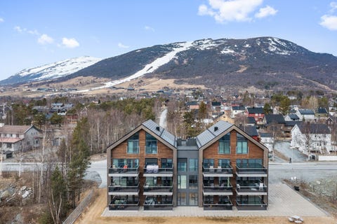 Bilde 1 av annonsen