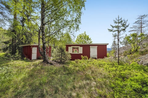 Bilde 1 av annonsen