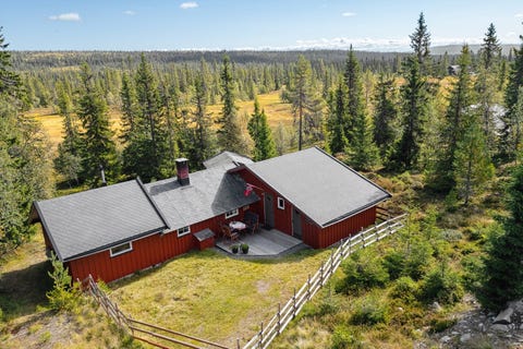 Bilde 1 av annonsen