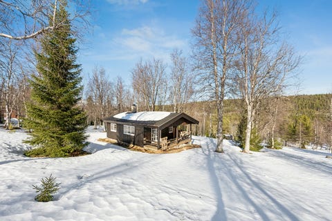 Bilde 1 av annonsen