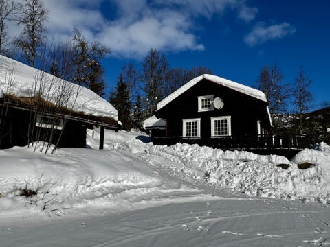 Bilde 1 av annonsen