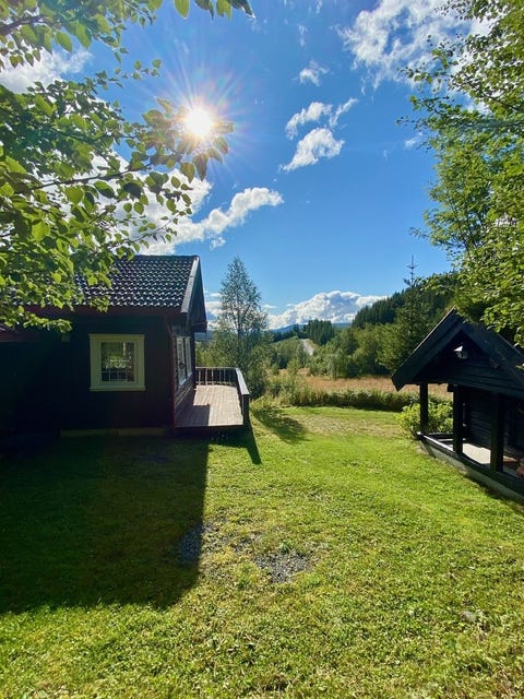 Bilde 2 av annonsen