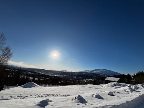 Bilde 1 av annonsen