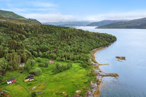 Bilde 1 av annonsen