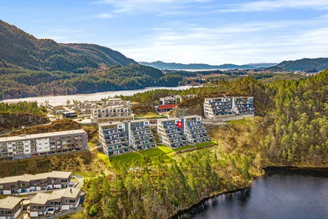 Bilde 2 av annonsen