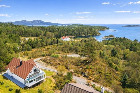 Bilde 1 av annonsen