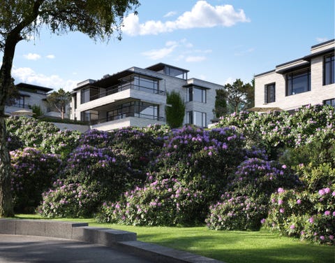 Bilde 2 av annonsen