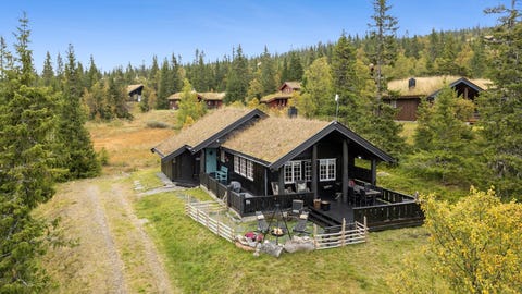 Bilde 1 av annonsen