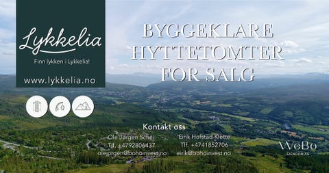 Bilde 1 av annonsen