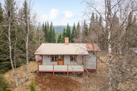Bilde 1 av annonsen