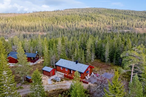 Bilde 1 av annonsen