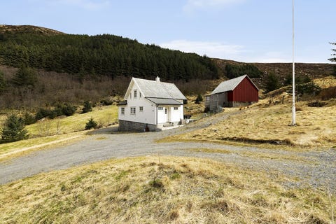 Bilde 1 av annonsen