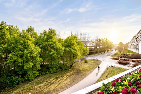 Bilde 2 av annonsen