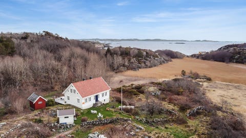Bilde 1 av annonsen