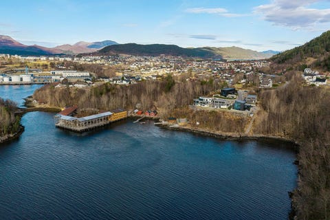 Bilde 1 av annonsen