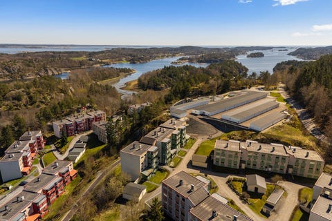 Bilde 2 av annonsen