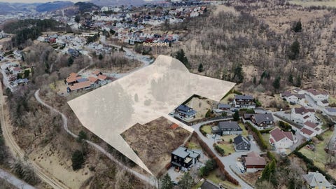 Bilde 1 av annonsen
