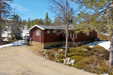 Bilde 1 av annonsen