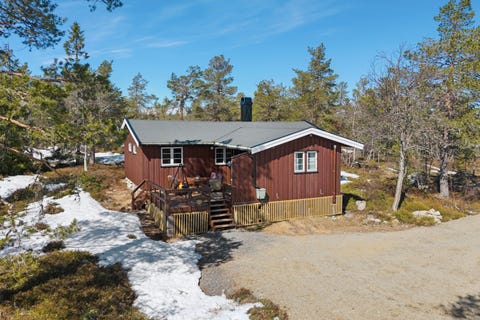 Bilde 1 av annonsen