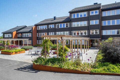 Bilde 2 av annonsen