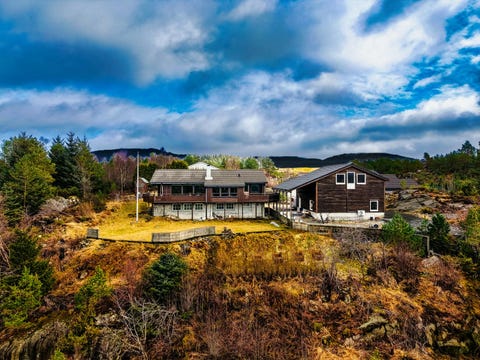 Bilde 1 av annonsen